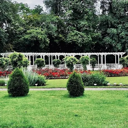 Les Fougeres Rez-de-chaussee * Vittel